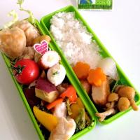 ヒガシマルうどんスープてあっさり根菜煮物と焼きシューマイのお弁当
